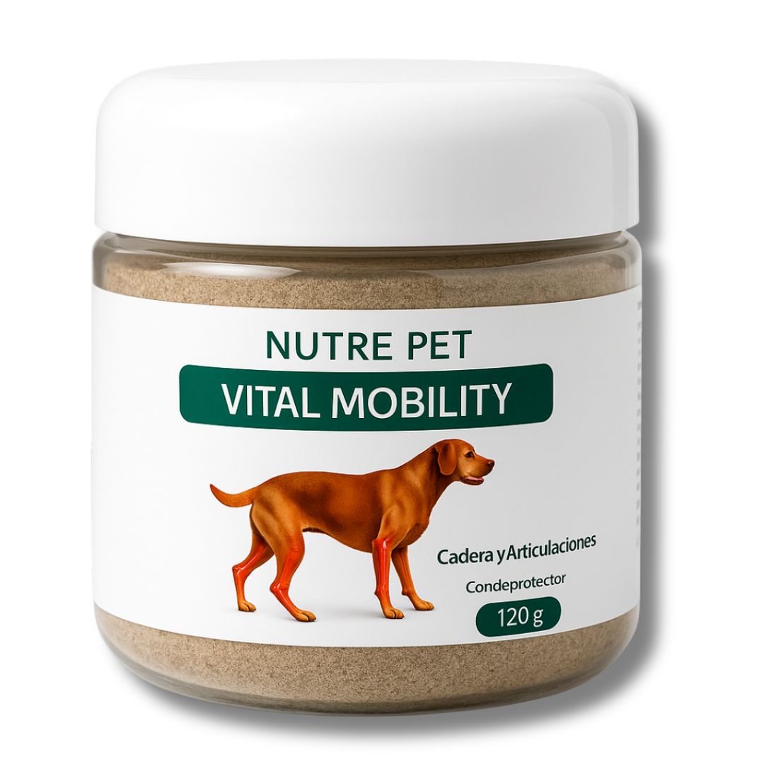 VITAL MOBILITY