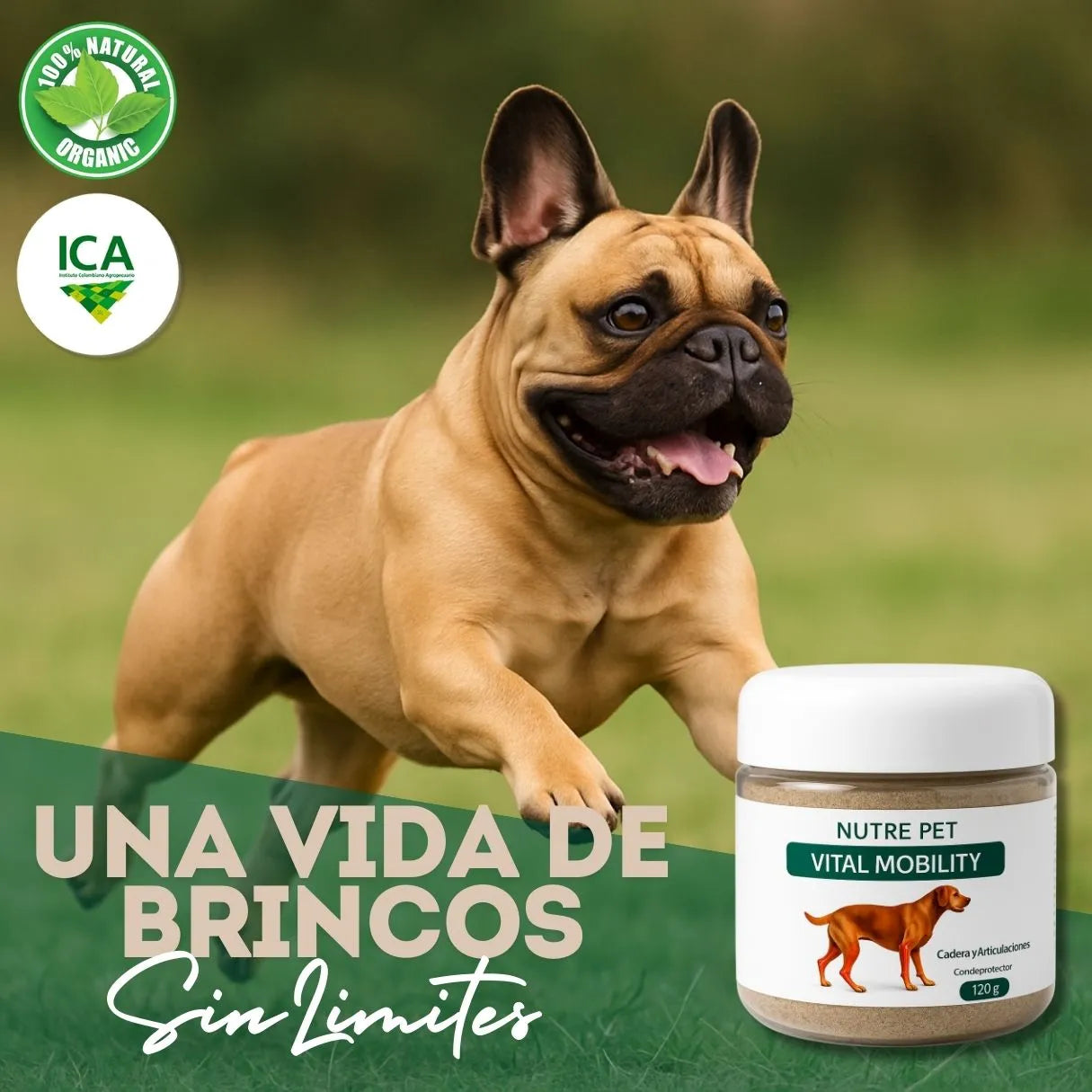 Vital Mobility - Articulaciones Sanas y Brincos Sin Limites 🐾❤️