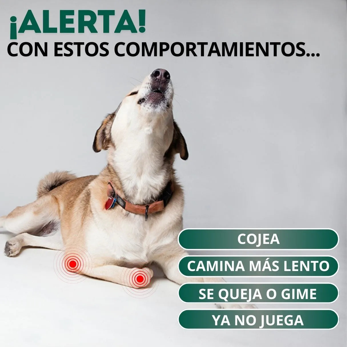 Vital Mobility - Articulaciones Sanas y Brincos Sin Limites 🐾❤️